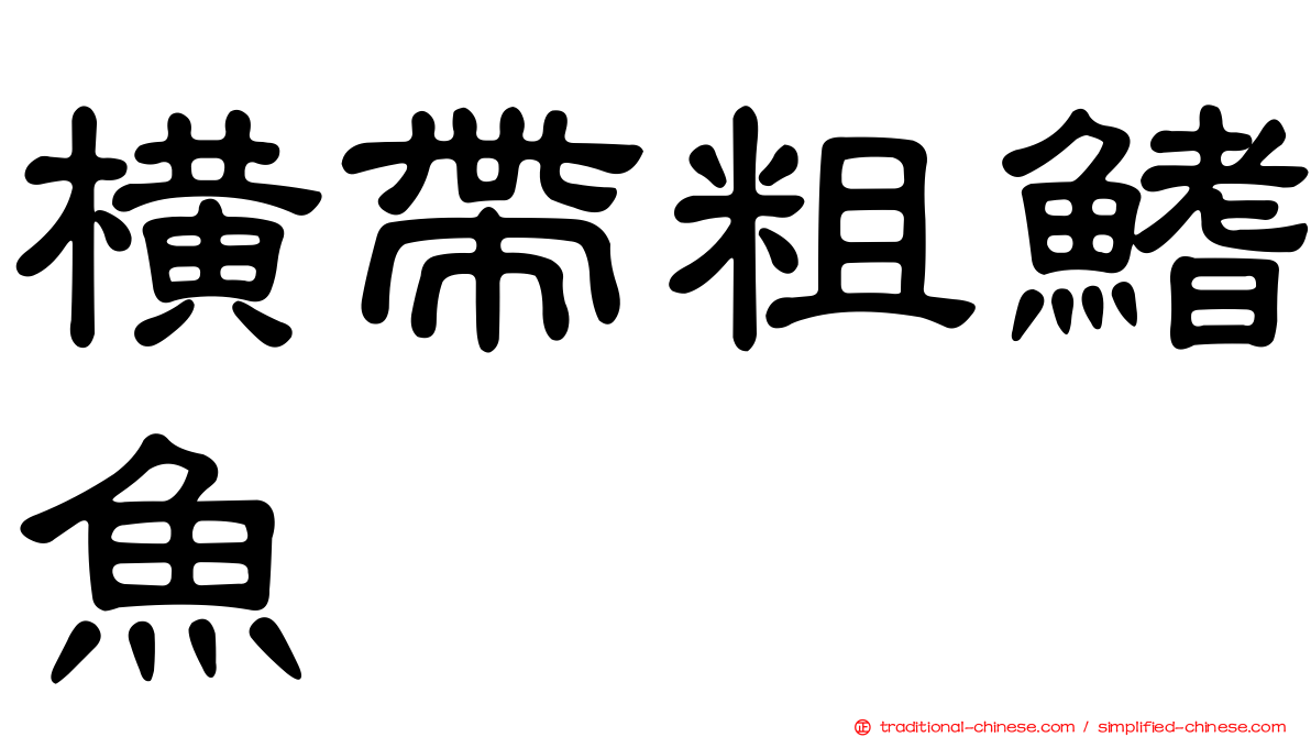 橫帶粗鰭魚