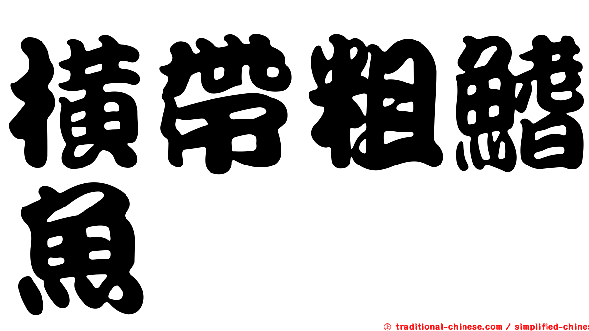 橫帶粗鰭魚
