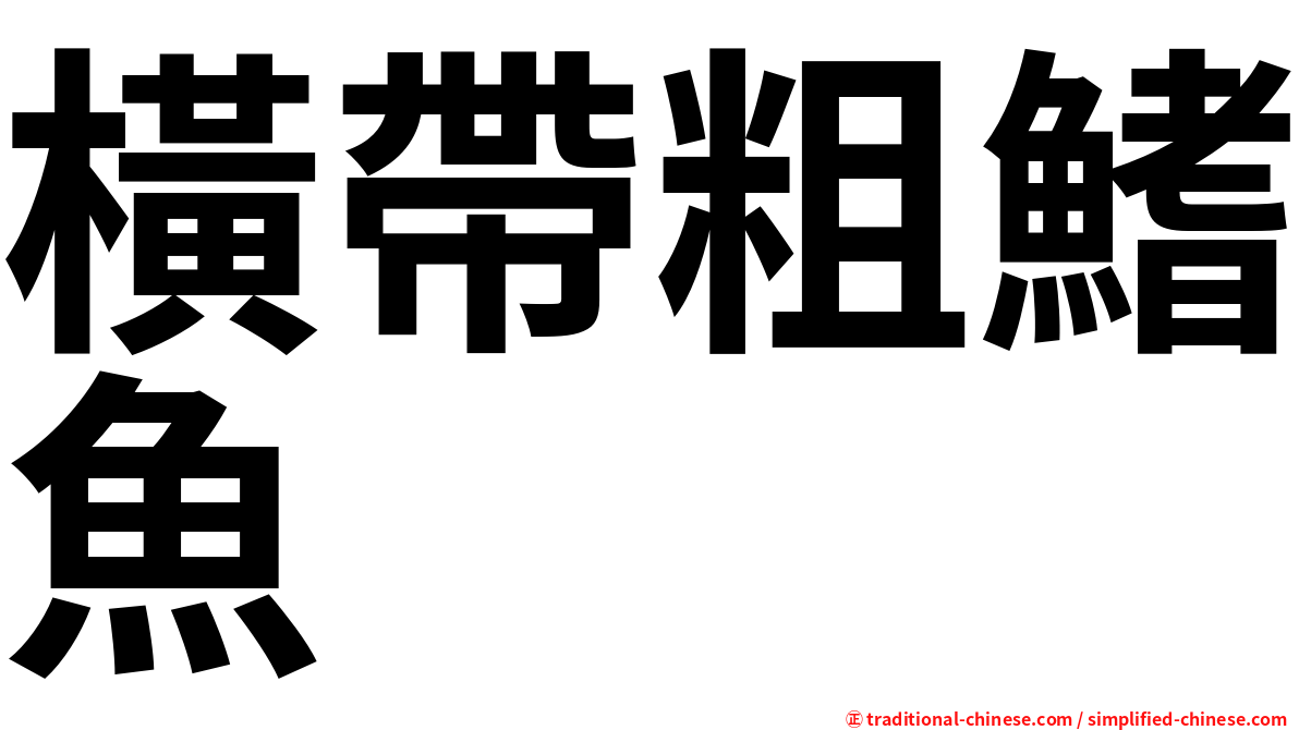 橫帶粗鰭魚