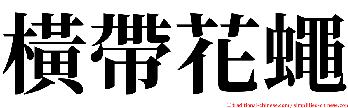 橫帶花蠅 serif font