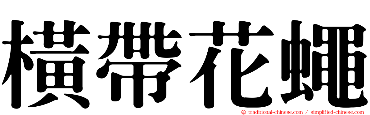 橫帶花蠅