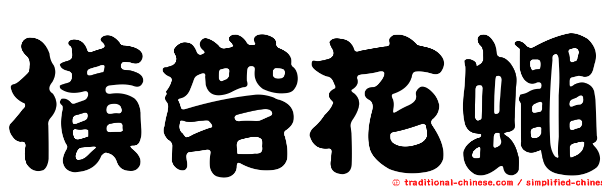 橫帶花蠅
