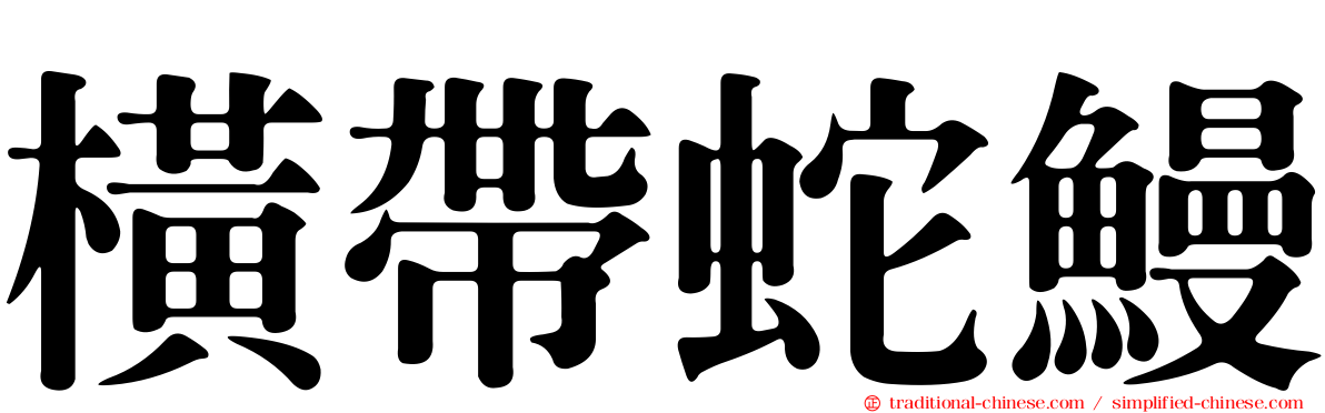 橫帶蛇鰻