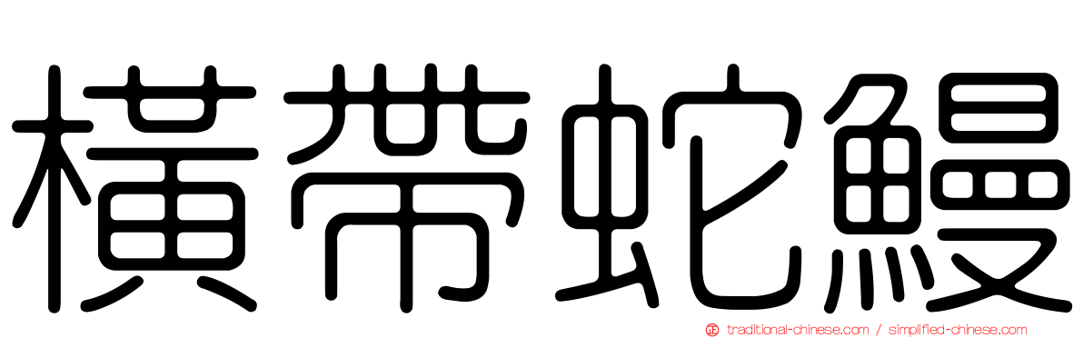 橫帶蛇鰻