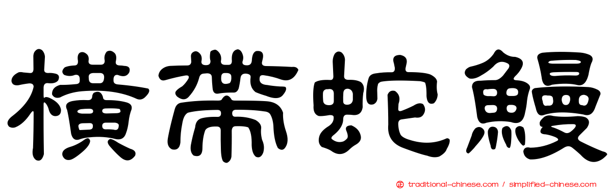 橫帶蛇鰻