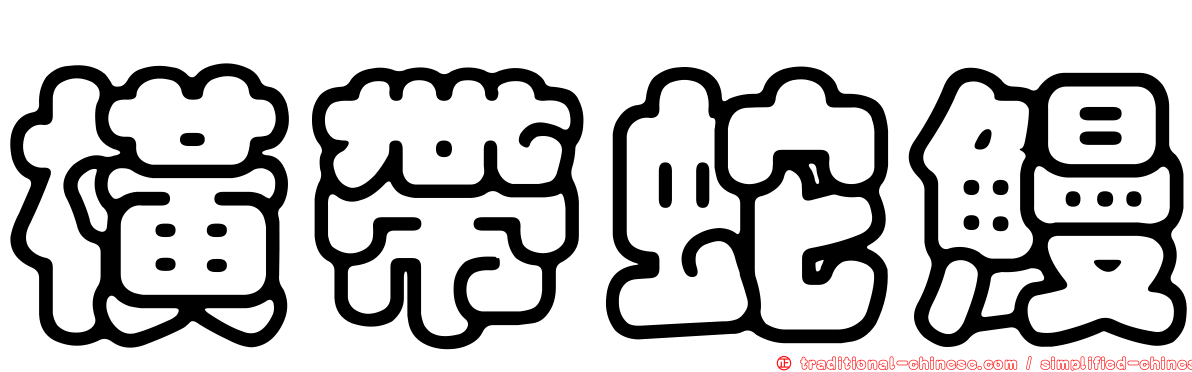 橫帶蛇鰻