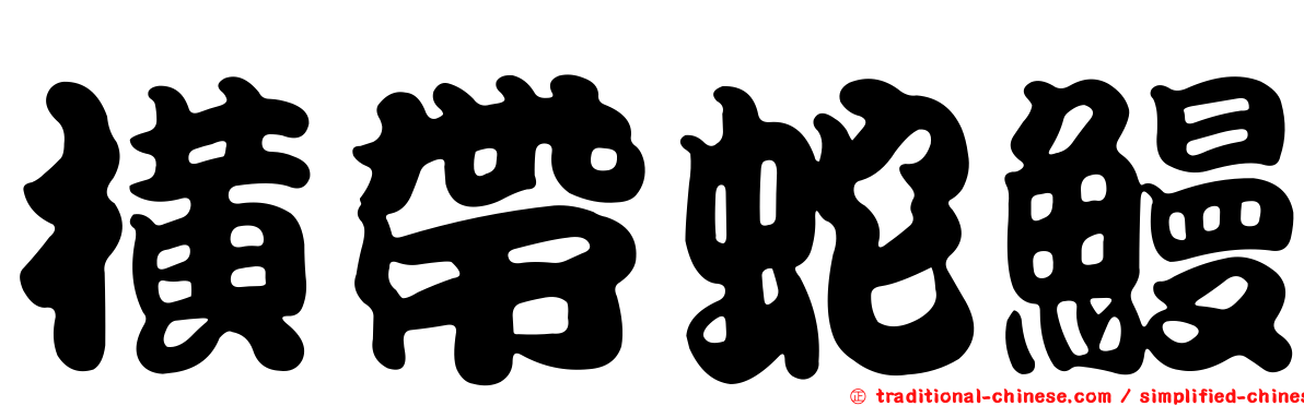 橫帶蛇鰻