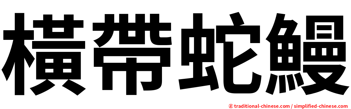 橫帶蛇鰻