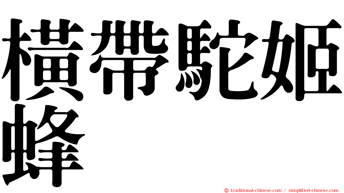 橫帶駝姬蜂