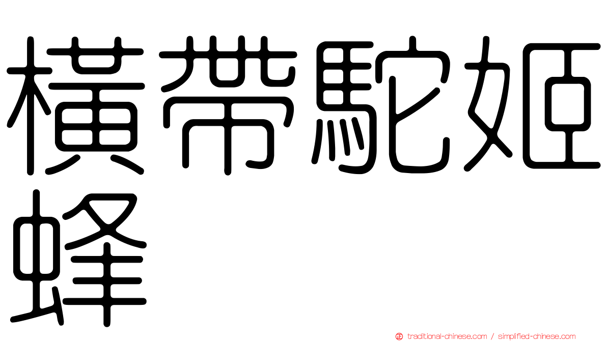 橫帶駝姬蜂