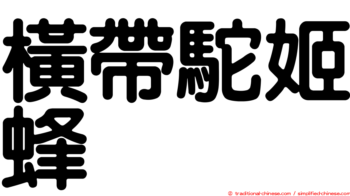 橫帶駝姬蜂