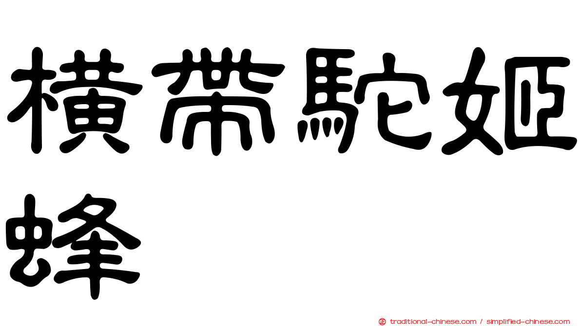 橫帶駝姬蜂