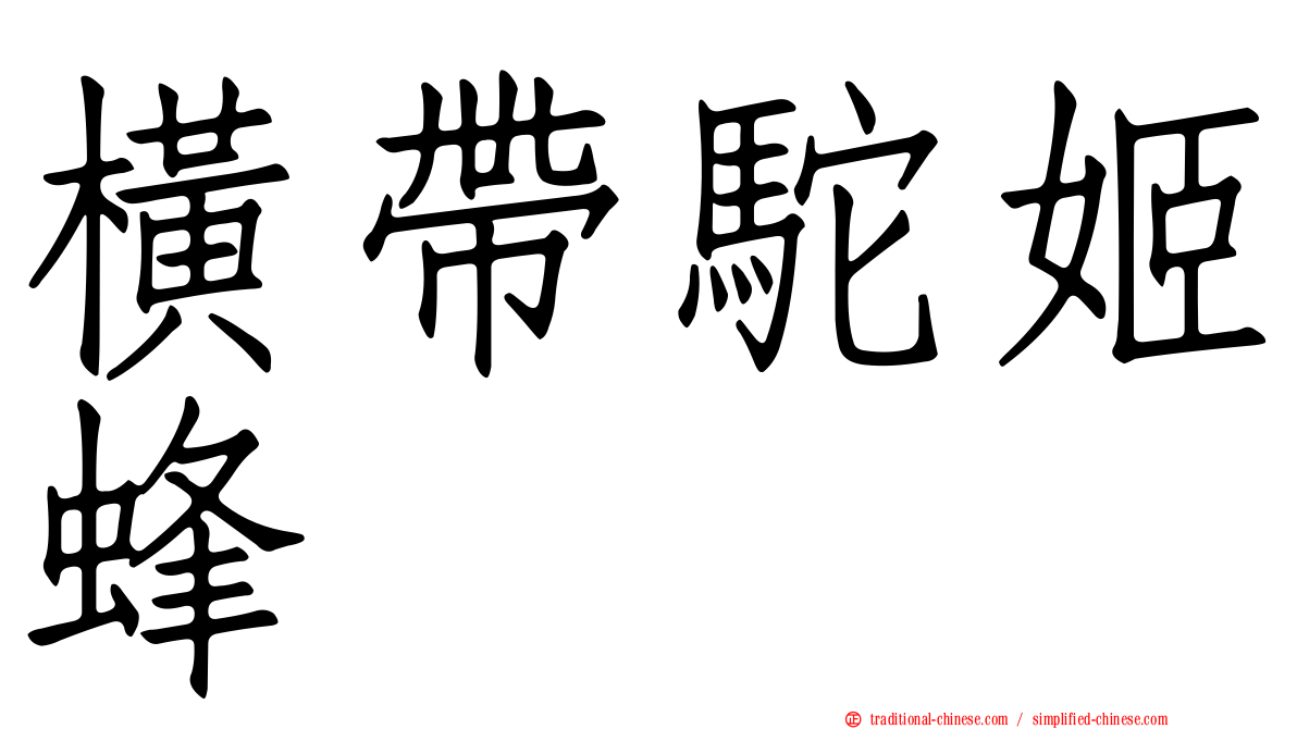 橫帶駝姬蜂