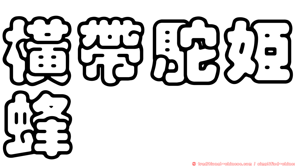 橫帶駝姬蜂