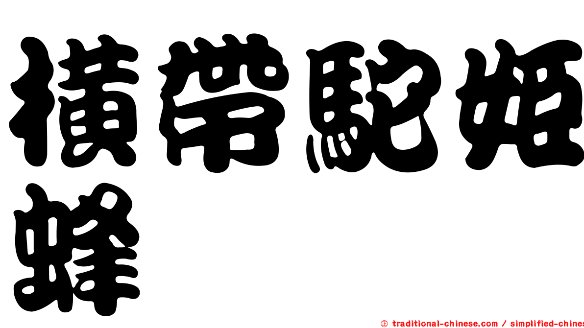 橫帶駝姬蜂