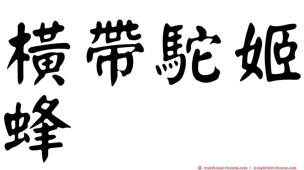 橫帶駝姬蜂