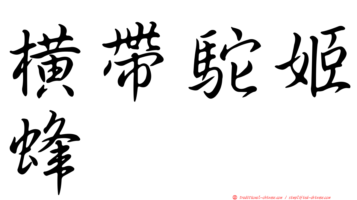橫帶駝姬蜂