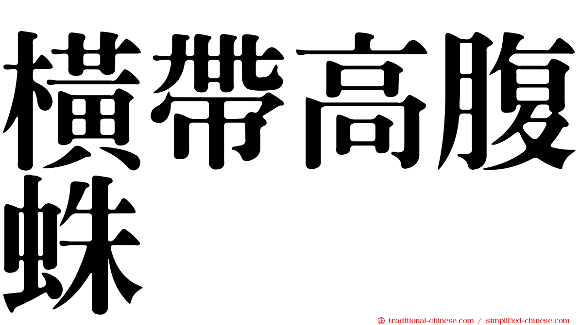 橫帶高腹蛛