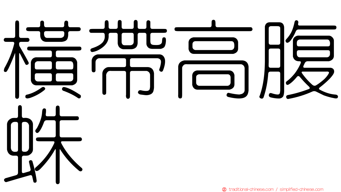 橫帶高腹蛛