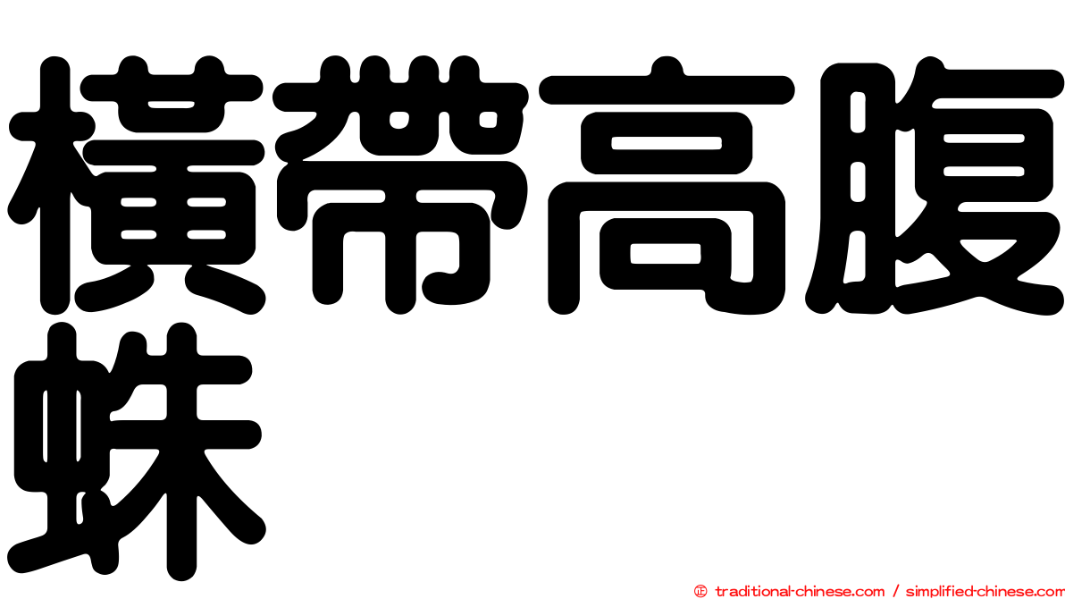 橫帶高腹蛛