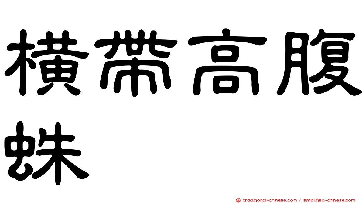 橫帶高腹蛛