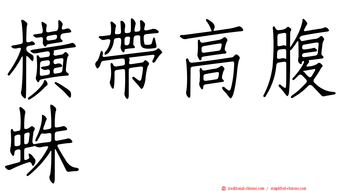 橫帶高腹蛛