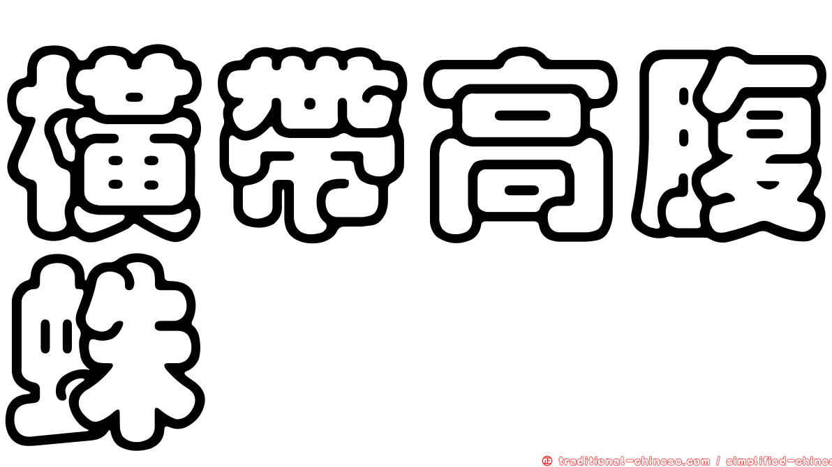 橫帶高腹蛛