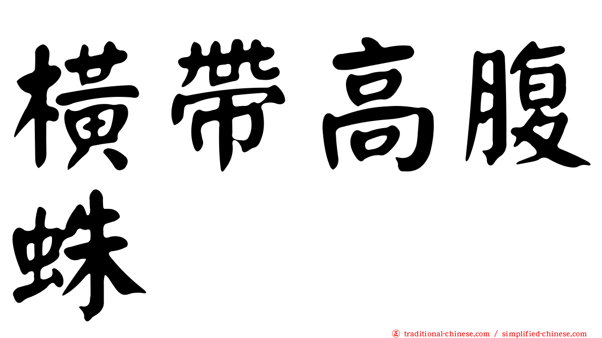 橫帶高腹蛛