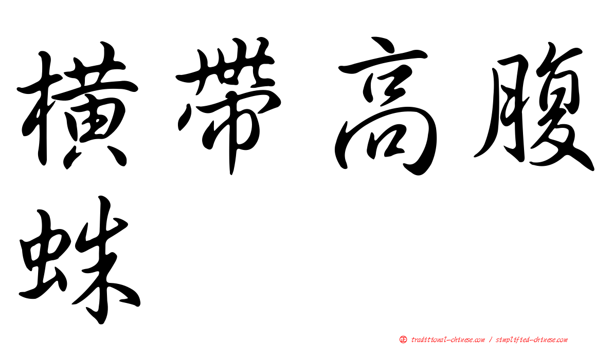 橫帶高腹蛛