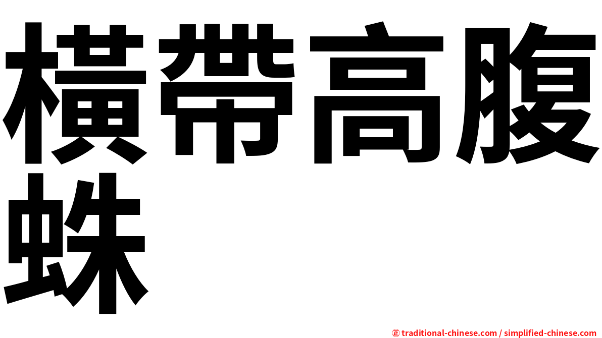 橫帶高腹蛛