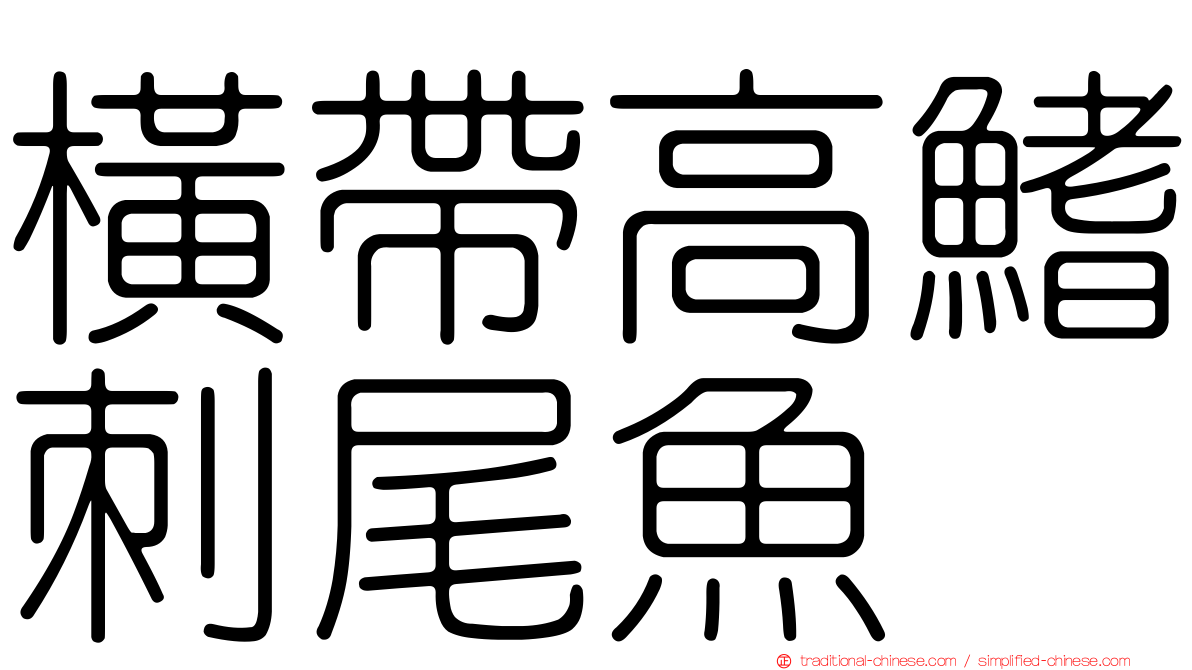 橫帶高鰭刺尾魚
