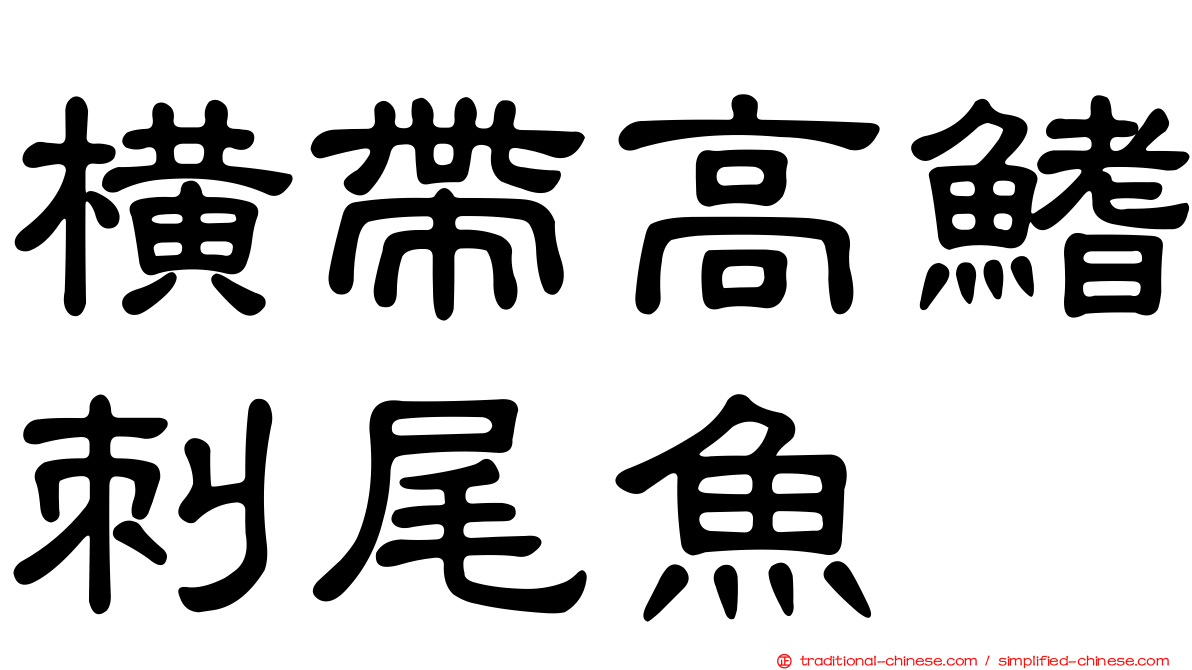 橫帶高鰭刺尾魚