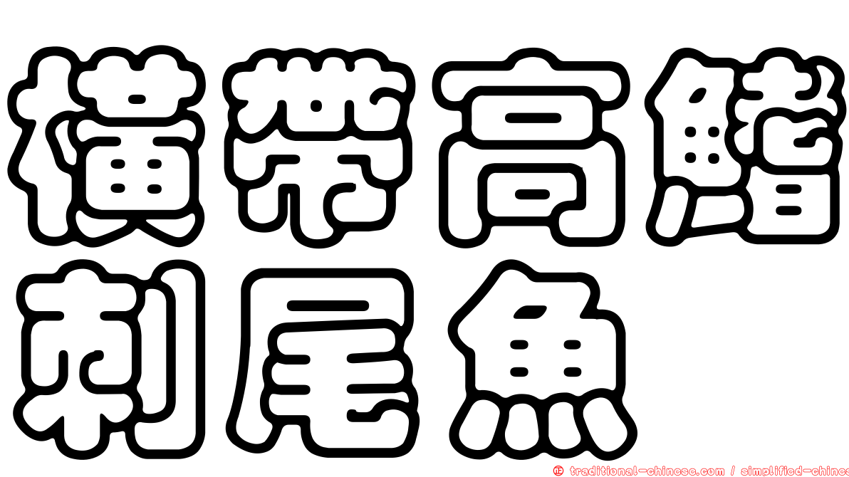 橫帶高鰭刺尾魚