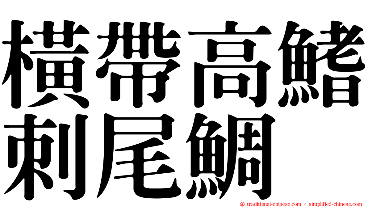 橫帶高鰭刺尾鯛