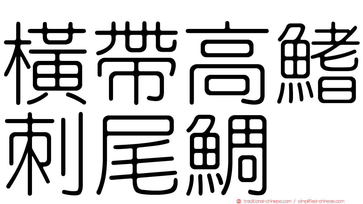 橫帶高鰭刺尾鯛