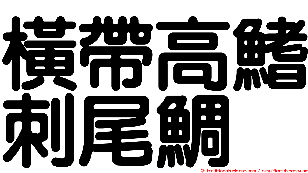 橫帶高鰭刺尾鯛