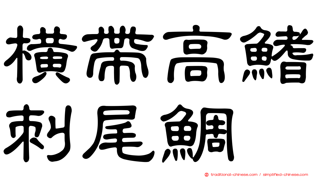 橫帶高鰭刺尾鯛