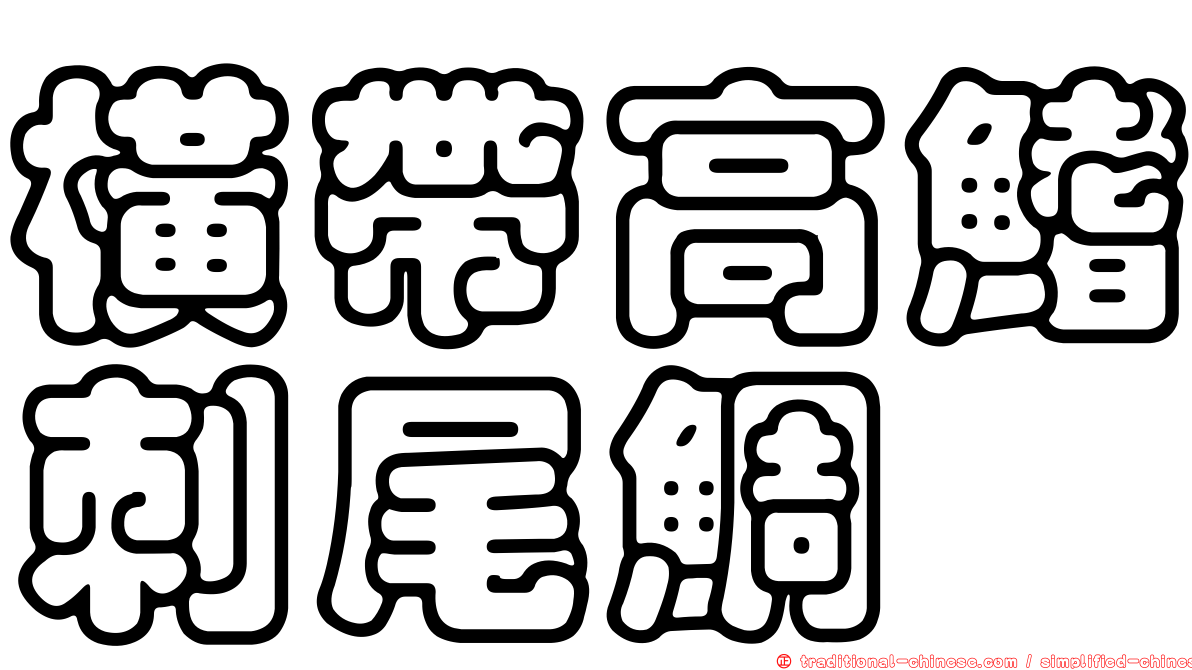 橫帶高鰭刺尾鯛