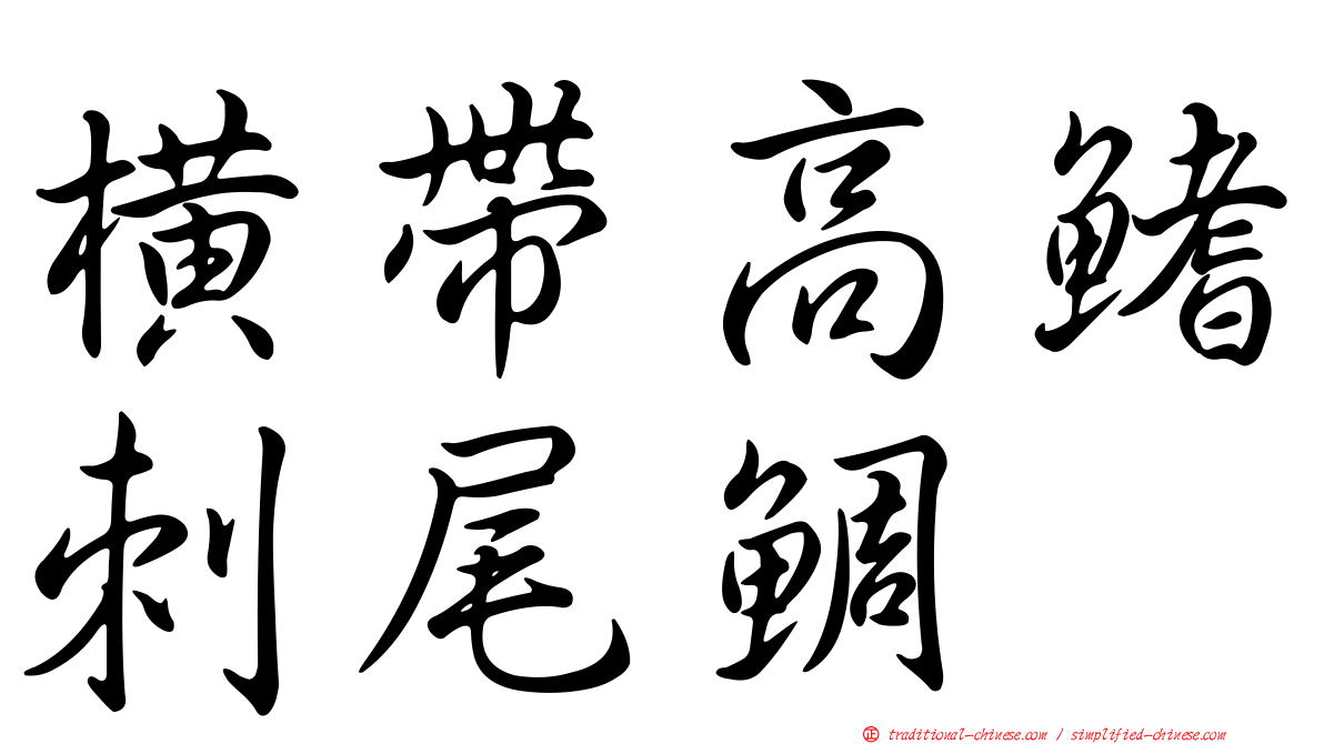 橫帶高鰭刺尾鯛