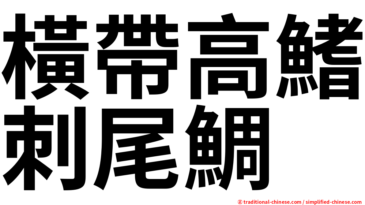 橫帶高鰭刺尾鯛