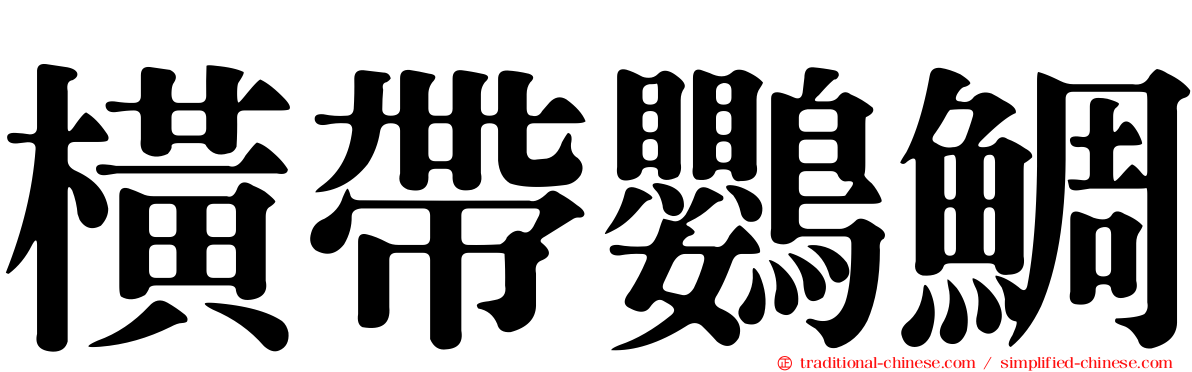 橫帶鸚鯛