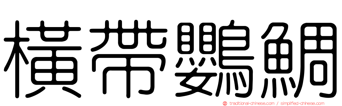 橫帶鸚鯛