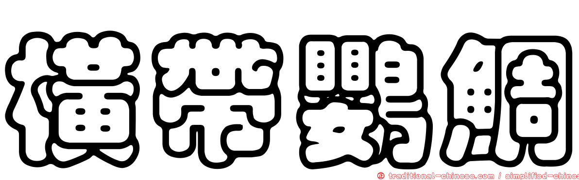 橫帶鸚鯛