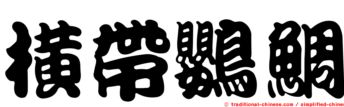 橫帶鸚鯛