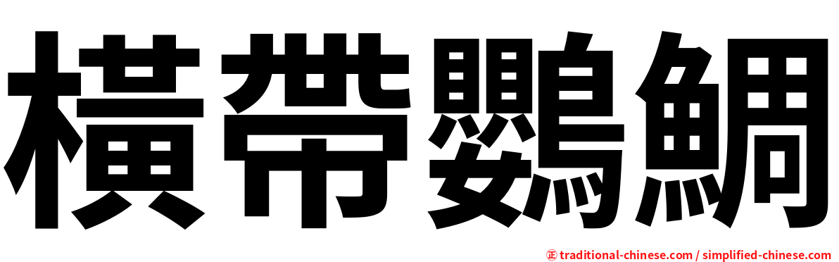 橫帶鸚鯛