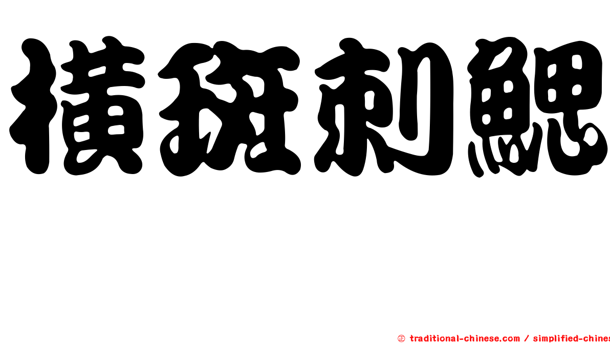 橫斑刺鰓鮨