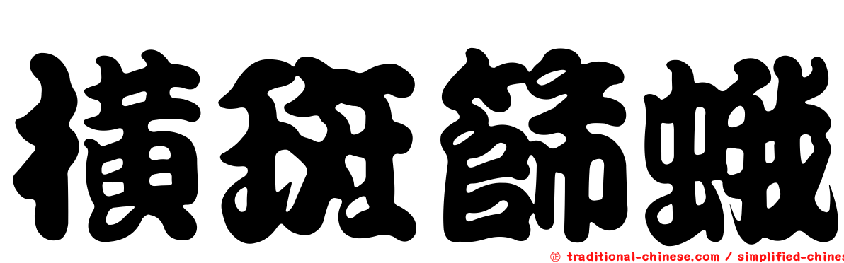 橫斑篩蛾