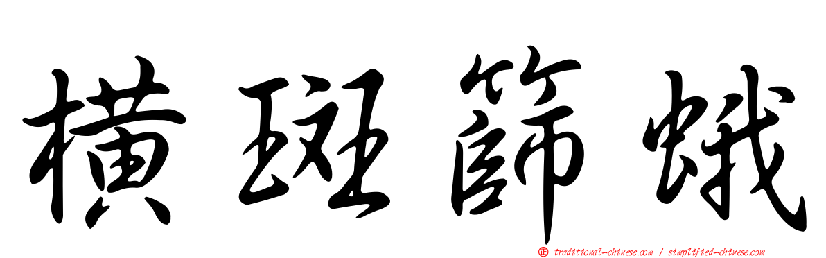 橫斑篩蛾