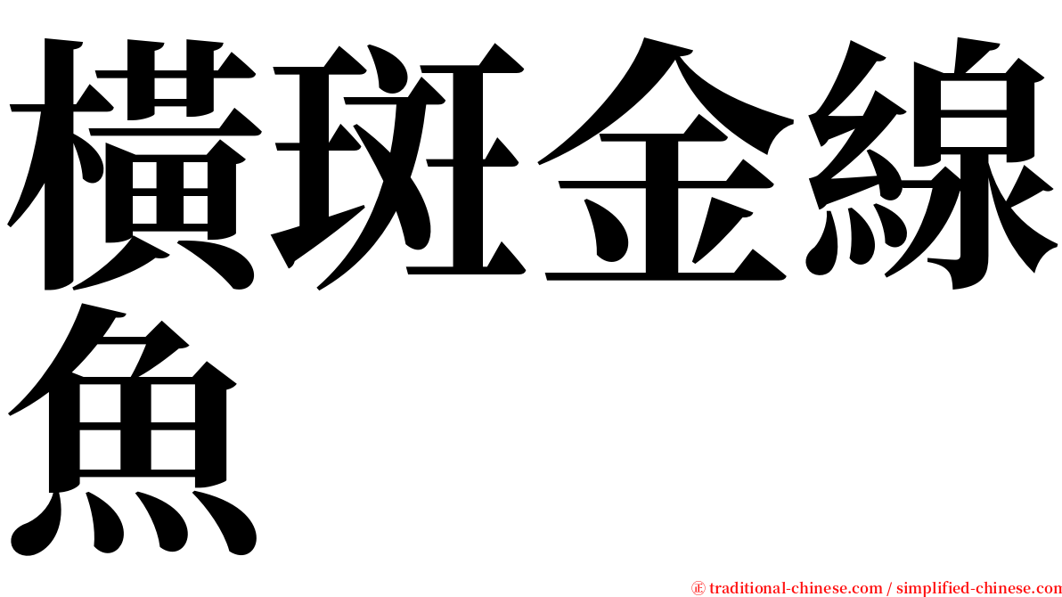 橫斑金線魚 serif font