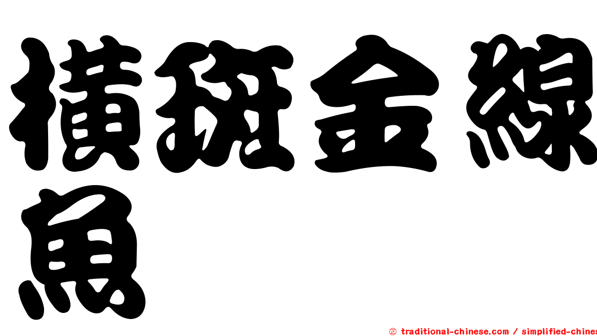 橫斑金線魚